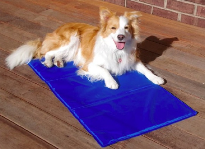 The Benefits of Cooling Mats