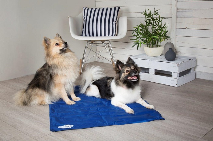 dogs on Cooling Mat
