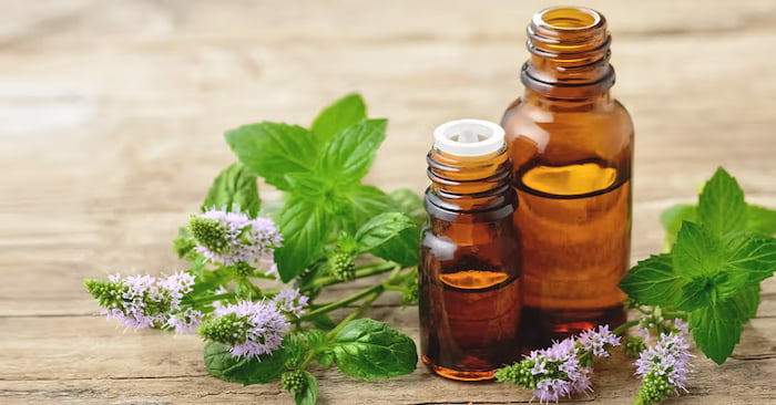 peppermint-eesentail-oil