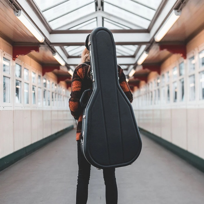 Guitar case
