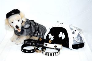 Pet Accessories