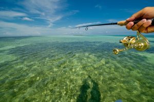 Fishing Rod