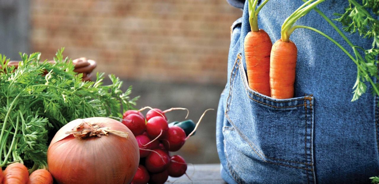 Organic Gardening