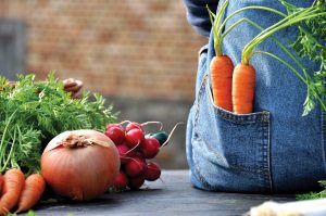 Organic Gardening