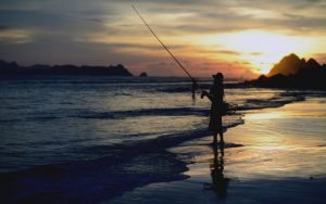 fishing-videos
