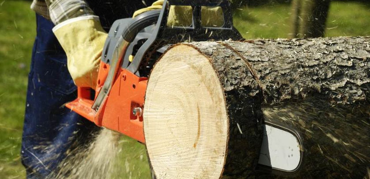 Electric Chainsaw