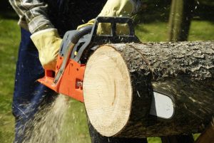 Electric Chainsaw