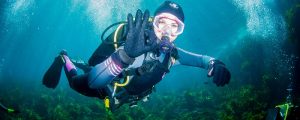 diving gloves