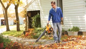 Leaf Blowing