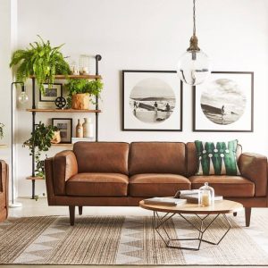 Contemporary sofas