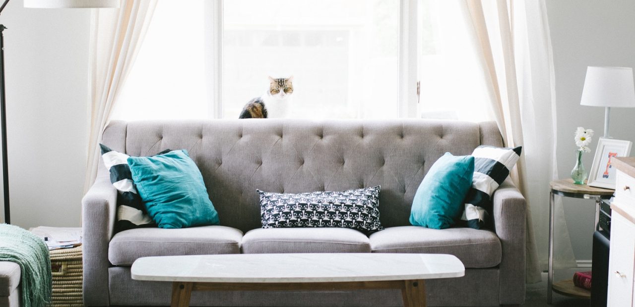 Contemporary Sofas