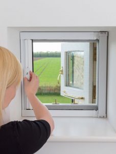 Window Flyscreens 2