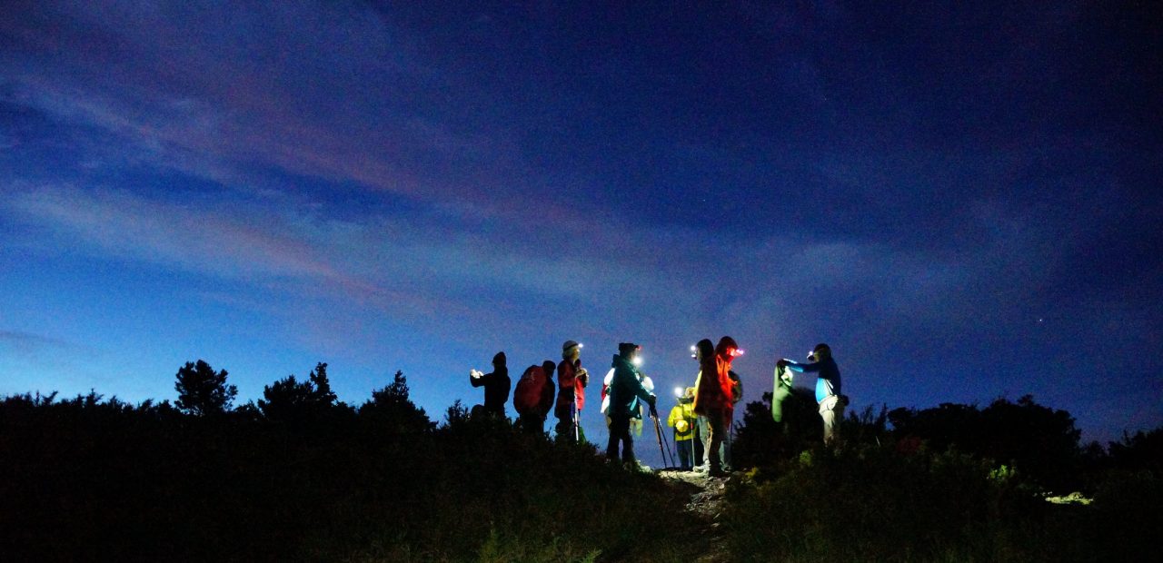 Hiking Headlamp