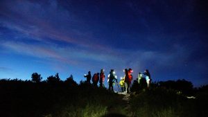 Hiking Headlamp