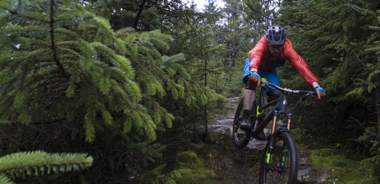 cyclist with bike into the woods