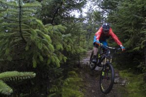 cyclist with bike into the woods