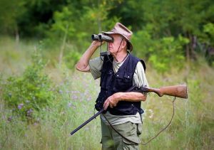 Deer Call Featured