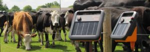 electric fence energizer featured