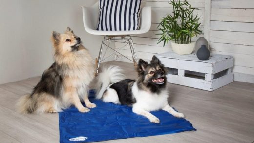 dogs on Cooling Mat