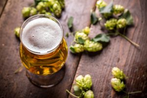 Beer Hops
