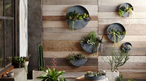 vertical-garden