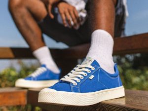 plimsoll sneakers