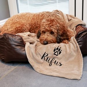 Blanket-for-dog