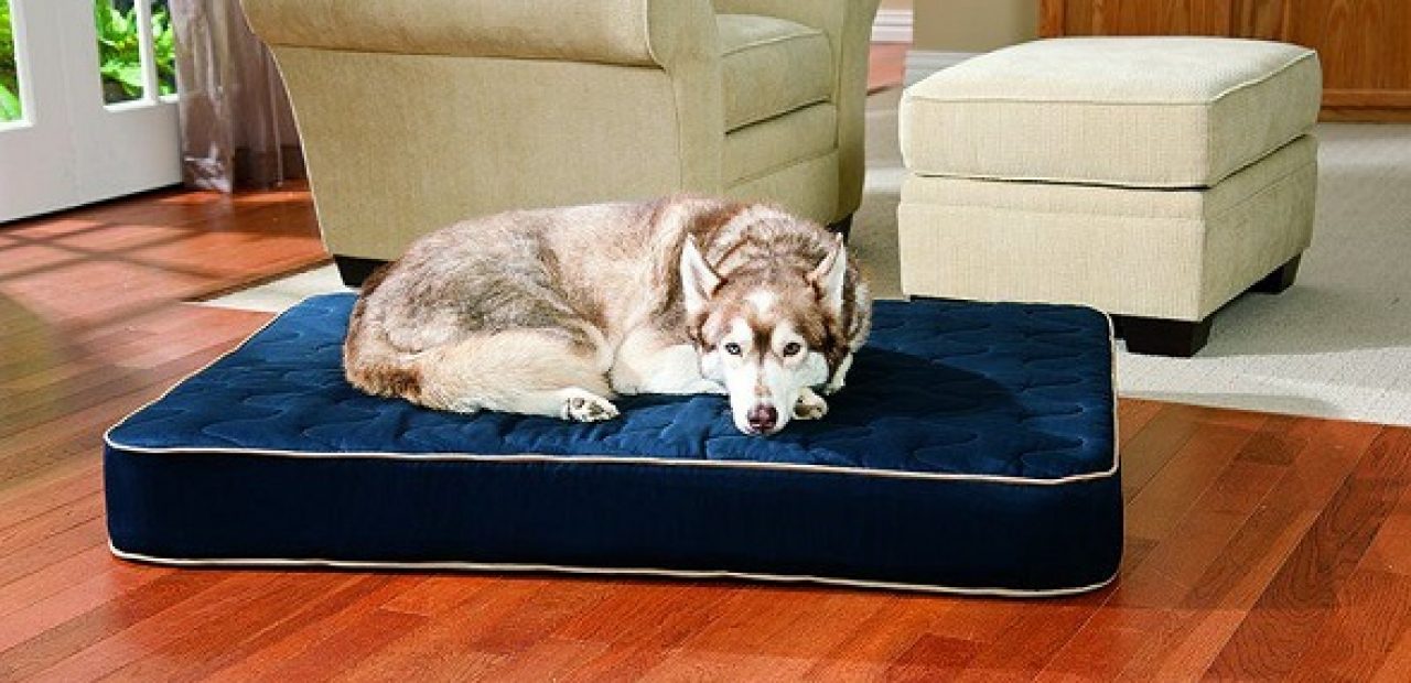 Orthopaedic-Dog-Bed
