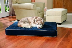 Orthopaedic-Dog-Bed