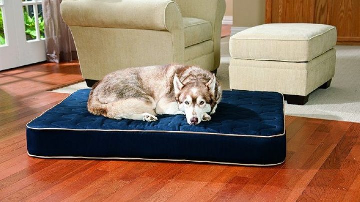 Orthopaedic-Dog-Bed