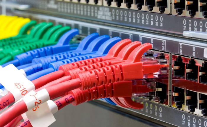 Close-up cables attached to a network switch 