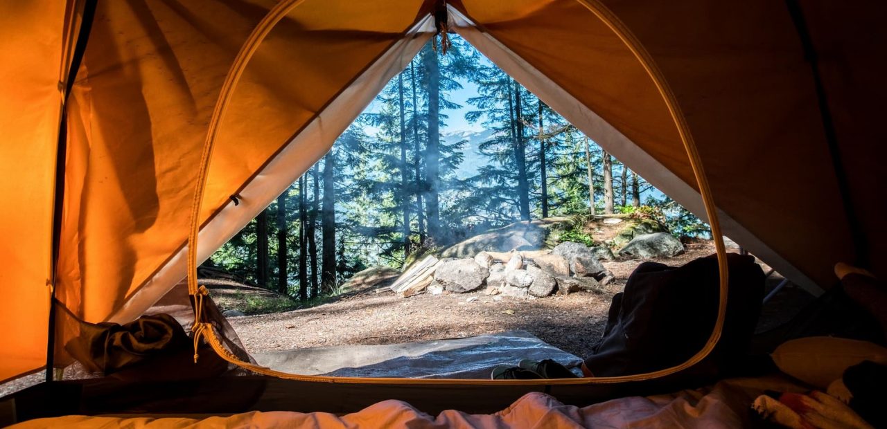 Camping tent with tree view