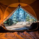 Camping tent with tree view