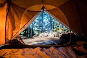 Camping tent with tree view