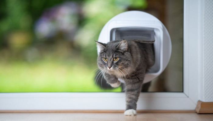 Pet-Door