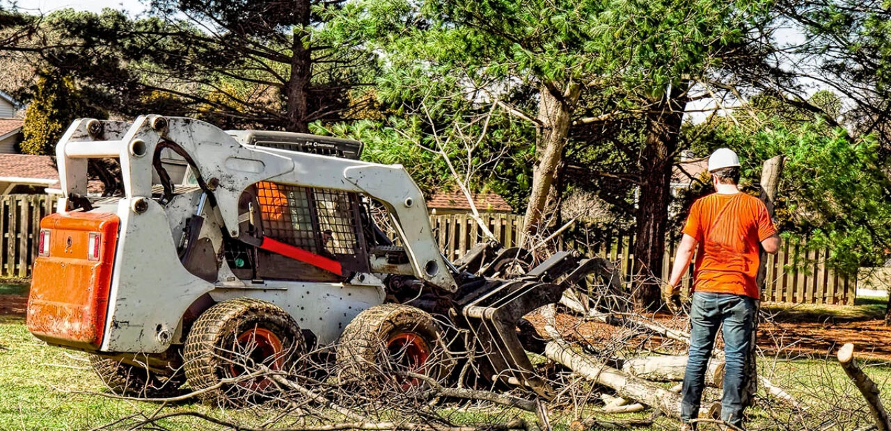 Tree service