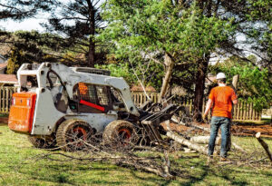 Tree service