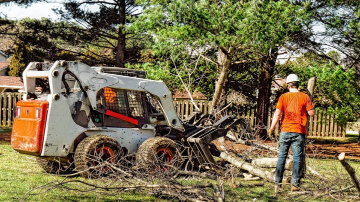 Tree service