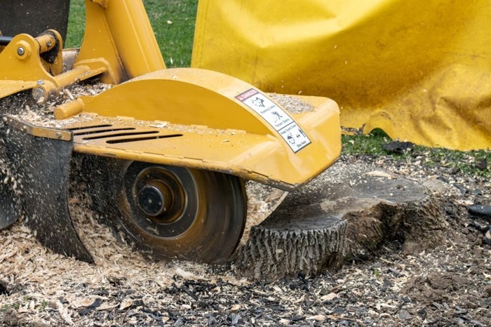Stump grinding
