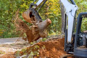 Tree root removal