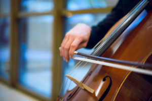 Cellos