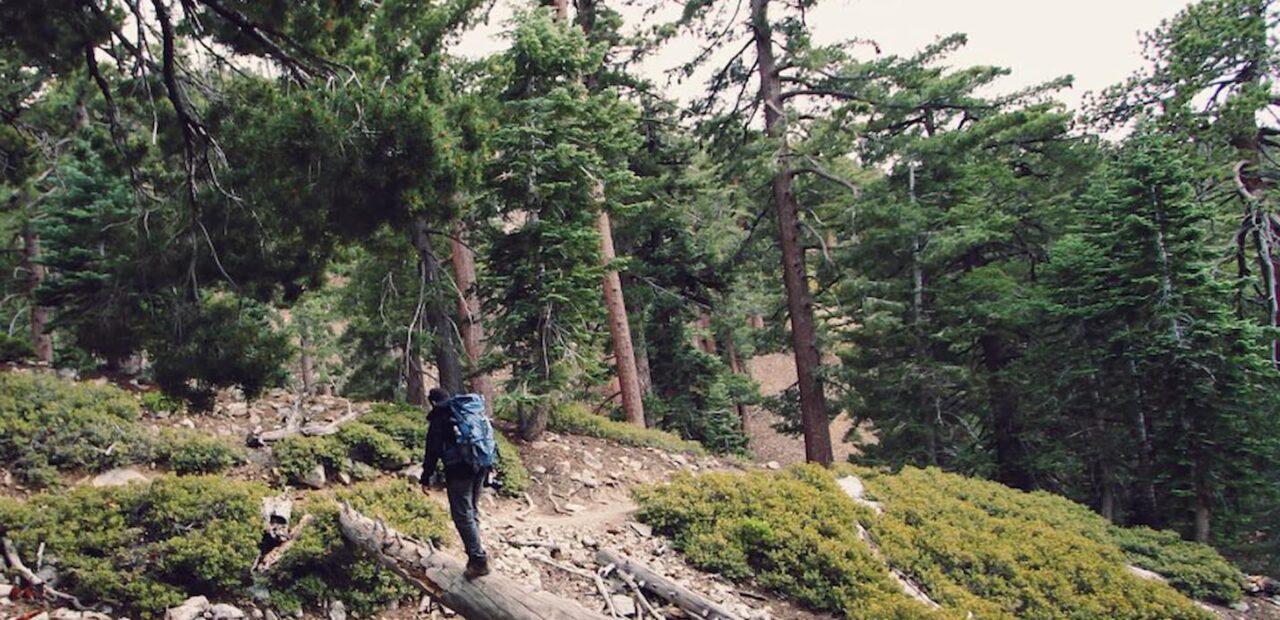 hiking