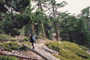 hiking