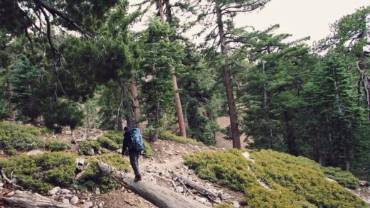 hiking